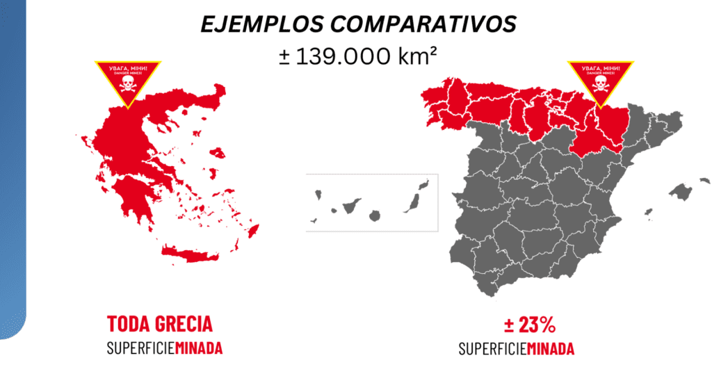 6_comparativa